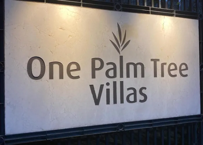 One Palm Tree By Melba Type *